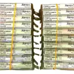JD092B I Genuine New Sealed HPE Transceiver X130 10G SFP LC SR
